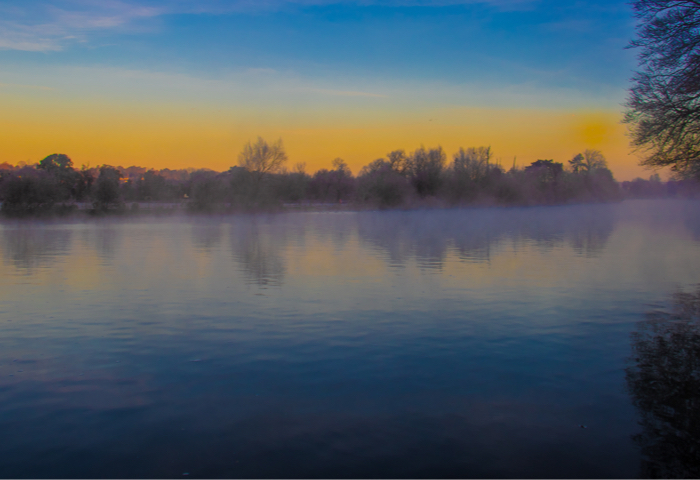 River Wandle Companion and Wandle Trail